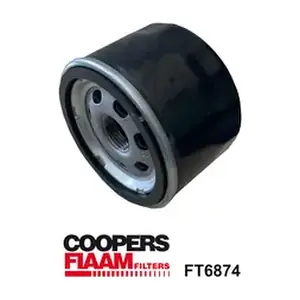 FT6874 CoopersFiaam