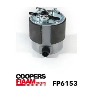 FP6153 CoopersFiaam