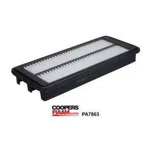 PA7863 CoopersFiaam