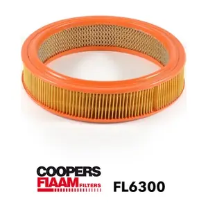 CoopersFiaam FL6300