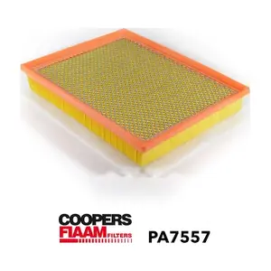 PA7557 CoopersFiaam