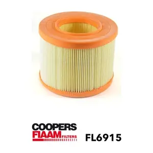 FL6915 CoopersFiaam