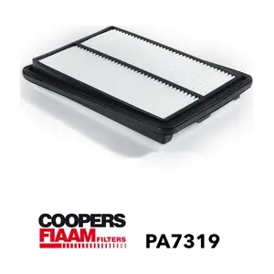 PA7319 CoopersFiaam