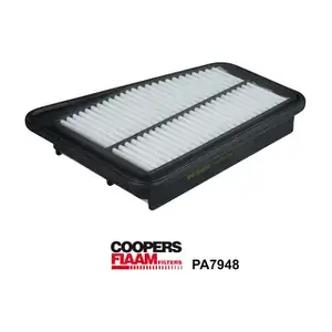 PA7948 CoopersFiaam