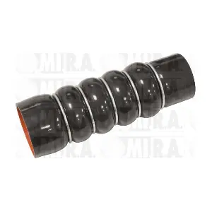 MI.R.A. 16/4496