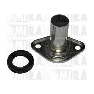 MI.R.A. 32/1366