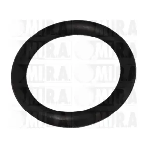 MI.R.A. 13/4115G