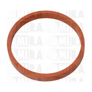 MI.R.A. 16/4483G