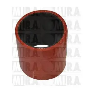 MI.R.A. 16/4149