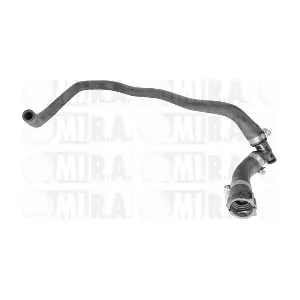 MI.R.A. 16/5024