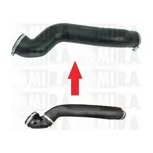 MI.R.A. 16/3719