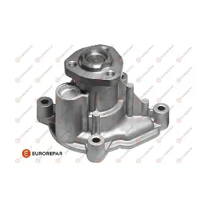 03C121005P VW (SVW)