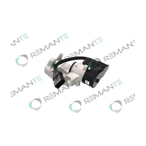 012-001-000882R REMANTE