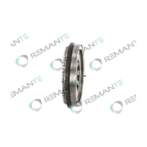 009-001-000224R REMANTE