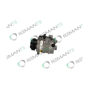 005-001-000081R REMANTE