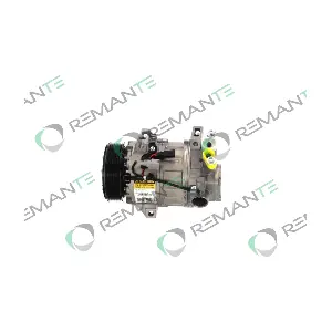 005-001-000300R REMANTE