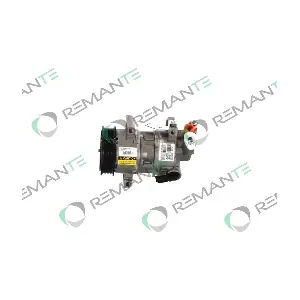 005-001-000122R REMANTE