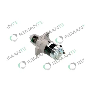 011-001-000555R REMANTE