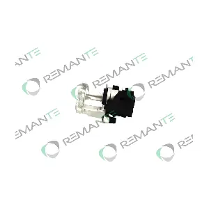 012-001-000317R REMANTE