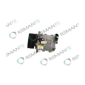 005-001-000207R REMANTE