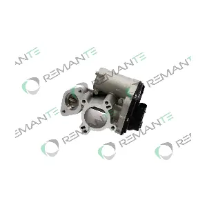 010-001-000065R REMANTE