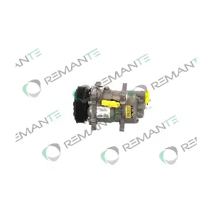 005-001-000291R REMANTE