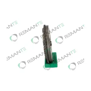 009-001-000231R REMANTE