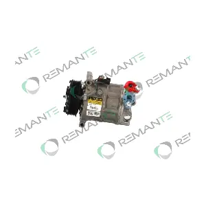 005-001-000090R REMANTE
