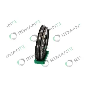 009-001-000225R REMANTE