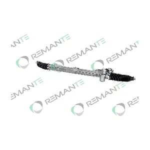 007-003-000333R REMANTE