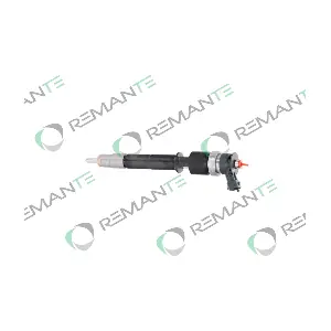 002-003-001319R REMANTE