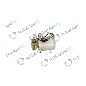 005-001-000162R REMANTE