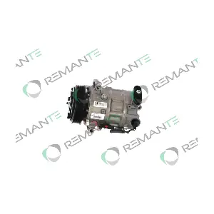 005-001-000250R REMANTE