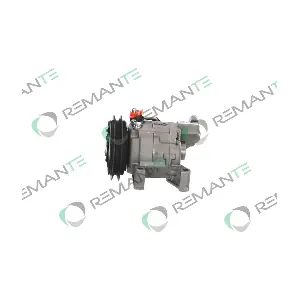 005-001-000263R REMANTE