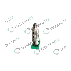 009-001-000109R REMANTE