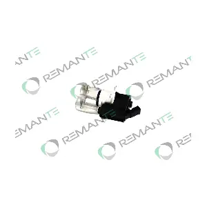 012-001-000308R REMANTE