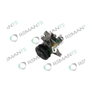 005-001-000293R REMANTE