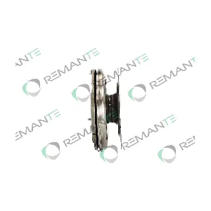 009-001-000055R REMANTE