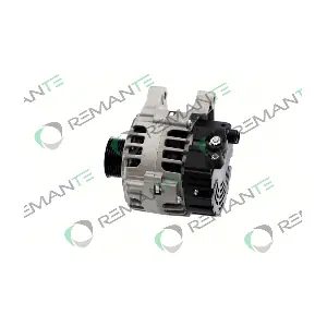 011-003-000311R REMANTE