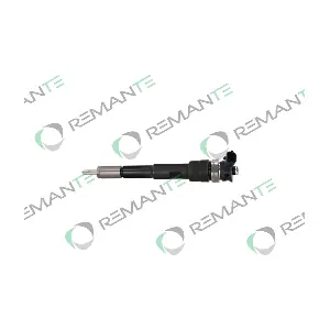 002-003-001494R REMANTE