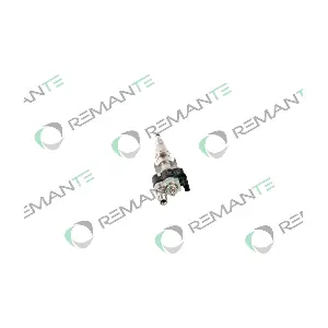 10181010 REMANTE