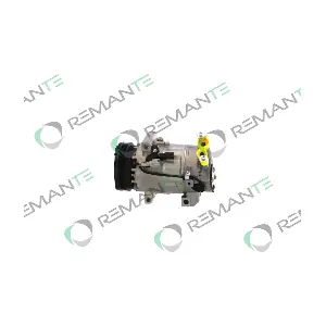 005-001-000166R REMANTE