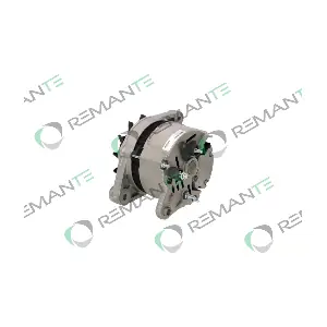 011-003-000132R REMANTE