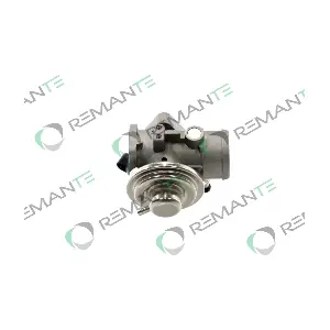 010-001-000049R REMANTE