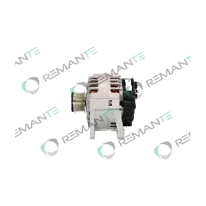 011-003-000694R REMANTE