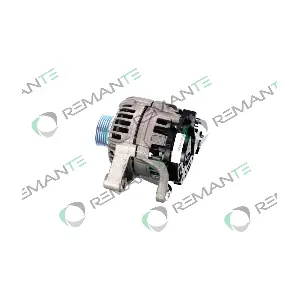 011-003-000419R REMANTE