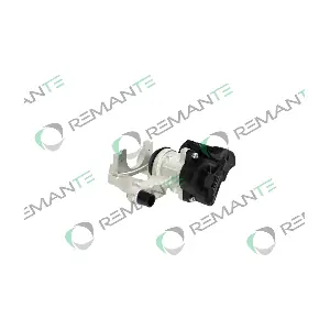 012-001-000489R REMANTE