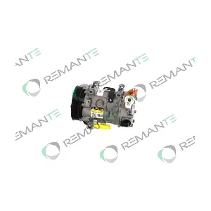 005-001-000319R REMANTE