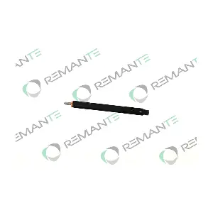 6650170121 REMANTE