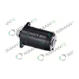 011-001-000153R REMANTE
